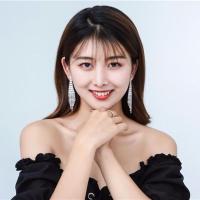 显脸瘦圆脸耳环大气韩国性感气质长款水钻流苏女耳坠耳夹无耳洞 银色925银针款