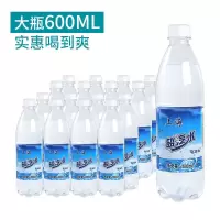 雪冰力气泡水600ml无糖苏打汽水0卡0脂调和用气泡水批发整箱24瓶 600ML*24檸檬味含盐汽水