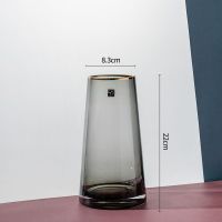 北欧描金金边轻奢透明玻璃花瓶摆件客厅插花水养鲜花百合桌面冬青 220锥桶描金-烟灰 中等