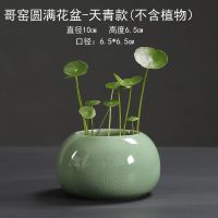 陶瓷 开片陶瓷水培小花盆铜钱草花器小清新容器桌面花盆档次 圆满-天青