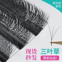 美睫嫁接三叶草睫毛抗菌0.03粗开花软毛美睫店专用朵毛超软假睫毛 3大排 C-8mm