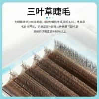 焦糖三叶草嫁接眼假睫毛自然柔然浓密不散根不分叉一秒开花3D仙朵 焦糖三叶草(3大排) C-8mm