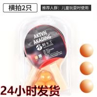 专业球拍乒乓球拍专业级高档乒乓球拍一副乒乓球训练器六星乒乓球 普通球拍一对(送3球)
