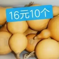[文玩葫芦]皮质厚盘玩儿上色快,10个随机发货,大家抓紧吧! [文玩葫芦]皮质厚盘玩儿上色快,10个随机发货,大家抓