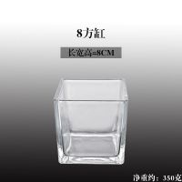 水培器皿创意玻璃花盆水养植物瓶透明花器绿萝白掌花瓶正方形容器 8方缸