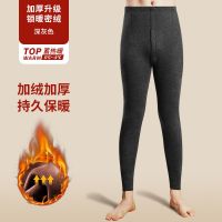 雅鹿男士保暖裤男打底裤冬季加绒加厚秋裤中老年护膝加绒裤棉裤女 男款单条装[深麻灰] 新升级精梳棉加绒 L