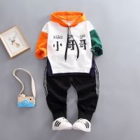 童装男童秋装套装2021新款潮宝宝韩版长袖开衫毛线衣婴小童三件套 桔红色 73