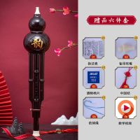 防摔云南七孔树脂双音葫芦丝小孩C调成人降B调初学自学民族乐器 普通款C调 葫芦丝+[不带盒]