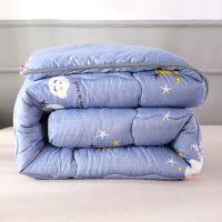 加厚被子冬被冬季保暖春秋太空被芯空调被褥单人学生宿舍夏被双人 云朵灰色 1.0*1.5cm儿童被颜色 随机发