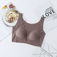 Bra欧阳娜娜同款 无痕无钢圈内衣女聚拢大码背心薄款大胸显小文胸 正品[咖色一件装] XL[140-165斤]