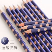 洞洞铅笔学生儿童幼儿园写字笔矫正练习握姿无铅无毒一年级初学者 30支HB深蓝(单铅笔)