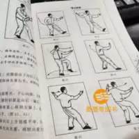 太极拳书 太极拳基本要领练功心法 四十八式杨氏武当四十二式图解 太极拳书