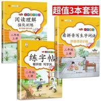 2021版阅读理解强化训练一二三四五六年级上下册同步人教版练习题 二年级上册 同步作文