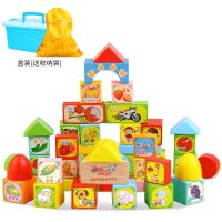 儿童积木玩具拼装木头3-6岁婴儿宝宝智力开发小男孩女孩拼搭实木 50粒识字动物积木盒装