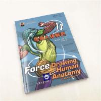 力 绘画人体解剖 画画入门动画艺用人体解剖指南动画漫画创作解 力:绘画人体解剖