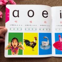 汉语拼音卡片彩图大卡声母韵母整体认读带四声调3-6岁儿童学拼音 宝宝学前启蒙0~3岁幼儿启蒙大全