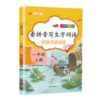 一年级拼音强化训练幼小衔接拼音拼读神器看拼音写词语通用完整版 看拼音写生字词语