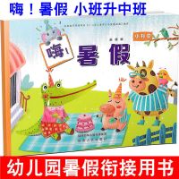 嗨暑假 小升中 幼儿园衔接课外书籍作业思维训练整合教材一日一练 嗨暑假系列 小升中