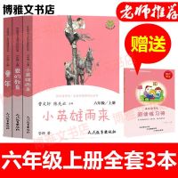 人教版快乐读书吧六年级上册全套3册爱的教育小英雄雨童年必读 上册/全套3本(送考点)