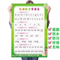 拼音字母挂图一年级汉语拼音字母表全套幼儿园声母韵母拼读训练表 竖版汉语拼音字母表 相纸[20x30厘米]迷你号小