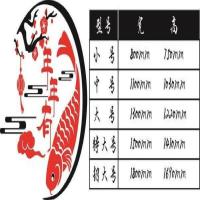 年年有余温馨亚克力3d立体自粘墙贴客厅卧室玄关餐厅背景墙装饰画 年年有余园版 小