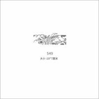 臂环纹身模板镂空手环花臂小清新般若浪花图腾图案半永久纹身图册 549 鲤鱼模板 不带色料