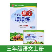 小学生三年级上册下册字帖人教版语文英语同步儿童楷书钢笔练字帖 三年级上册 语文