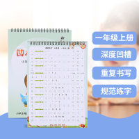 全套7本一年级上下册字帖人教版同步儿童笔画拼音楷书笔顺练字帖 一年级上册单本装 配送1笔10芯2握笔器