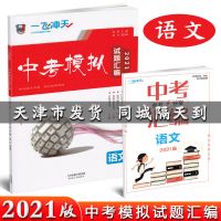 2021版一飞冲天中考模拟试题汇编语文数学英语物理化学天津真题 语文