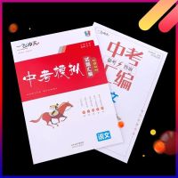 2022版 一飞冲天 天津中考模拟试题汇编语文数学英语物理化学历政 语文(保证正版)