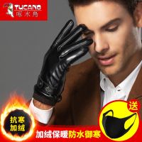 啄木鸟真皮手套男女秋冬季加绒加厚防风触屏保暖骑行摩托车棉手套 触屏主款皮手套 均码