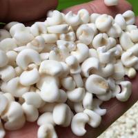 广西糯玉米粒雪芽粘玉米粒脱皮玉米爆米花玉米大颗粒大碴子苞米 1斤大颗粒玉米