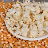 球形蝶形爆裂小玉米粒爆米花专用爆米花玉米粒家庭商用批发 蝶形1斤