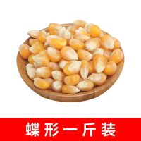 爆米花玉米粒 球形蝶形小玉米爆米花专用原料家用商用批发1斤8斤 蝶形1斤装