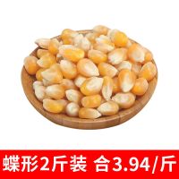 球形蝶形爆裂小玉米粒爆米花专用爆米花玉米粒家庭商用批发 蝶形2斤装