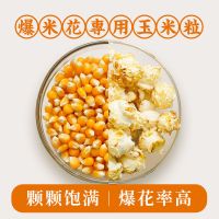 球形蝶形爆裂小玉米粒爆米花专用爆米花玉米粒家庭商用批发 球形1斤