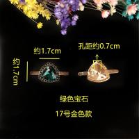 新品拖鞋凉鞋夹趾鞋扣女鞋金属水钻鞋配件鞋子的装饰品鞋花配饰 17号款(2只价格)