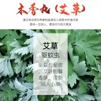 古风香囊球镂空项链宫铃手镯随身香薰香丸手机挂件除异味持久留香 木香丸[艾草](驱蚊虫)8粒