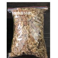 栽好发货[吃蚊子苍蝇的植物]吃蚊草捕蝇草消灭蚊虫带盆栽好发。 专用土[水苔50克]