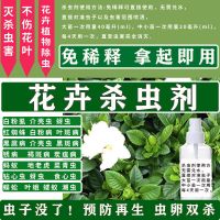 栀子花杀虫剂喷雾家用 花卉杀虫水 杀虫水乳 喷雾杀虫水 除虫水 1瓶 100ml