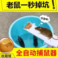 粘贴老鼠夹笼家用自动连续跷跷板逮耗子电猫驱抓捉灭神器 跷跷板连续器第四代(水桶自备)