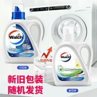 [2斤装]威露士抗菌洗衣液1L除螨有氧去污渍手洗机洗通用易过水 松木1L(2斤)