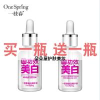 一枝春墨菊美白去黄精华液水润嫩肤保湿滋养收缩毛孔面部护肤品 如图