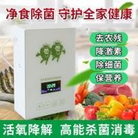 臭氧机洗菜机 家用杀菌果蔬解毒机活氧机消毒臭氧发生器水族 白色款加一管一石 发2管2石