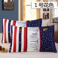 枕芯一对送枕套一对 带拉链可拆洗枕头芯一只 成人单人枕套装 1号花色 枕芯一只+枕套一只[低枕]