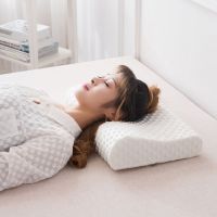 太空记忆枕头慢回弹护颈枕芯单人枕成人枕学生枕宿舍枕记忆棉枕头 经济型白泡泡