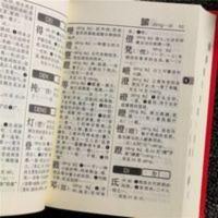 新版新华字典第十二版新华字典12版小学生1-6年级新华字典工具书 新华字典(第12版)(单色本)