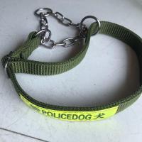 中大型犬狗链子德牧金毛马犬牵引绳狗宠物遛狗脖圈双层加厚防爆冲 军绿单独项圈