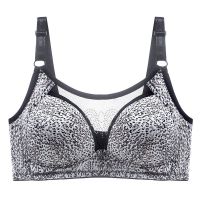 [单件/两件]薄款文胸性感豹纹内衣中杯无钢圈聚拢防走光防下垂 白豹 36/80