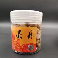 新款全能软体秒粘豆粘性大无皮筋黑坑鲫鱼鱼饵可剪颗粒鱼饵灵丹 原味